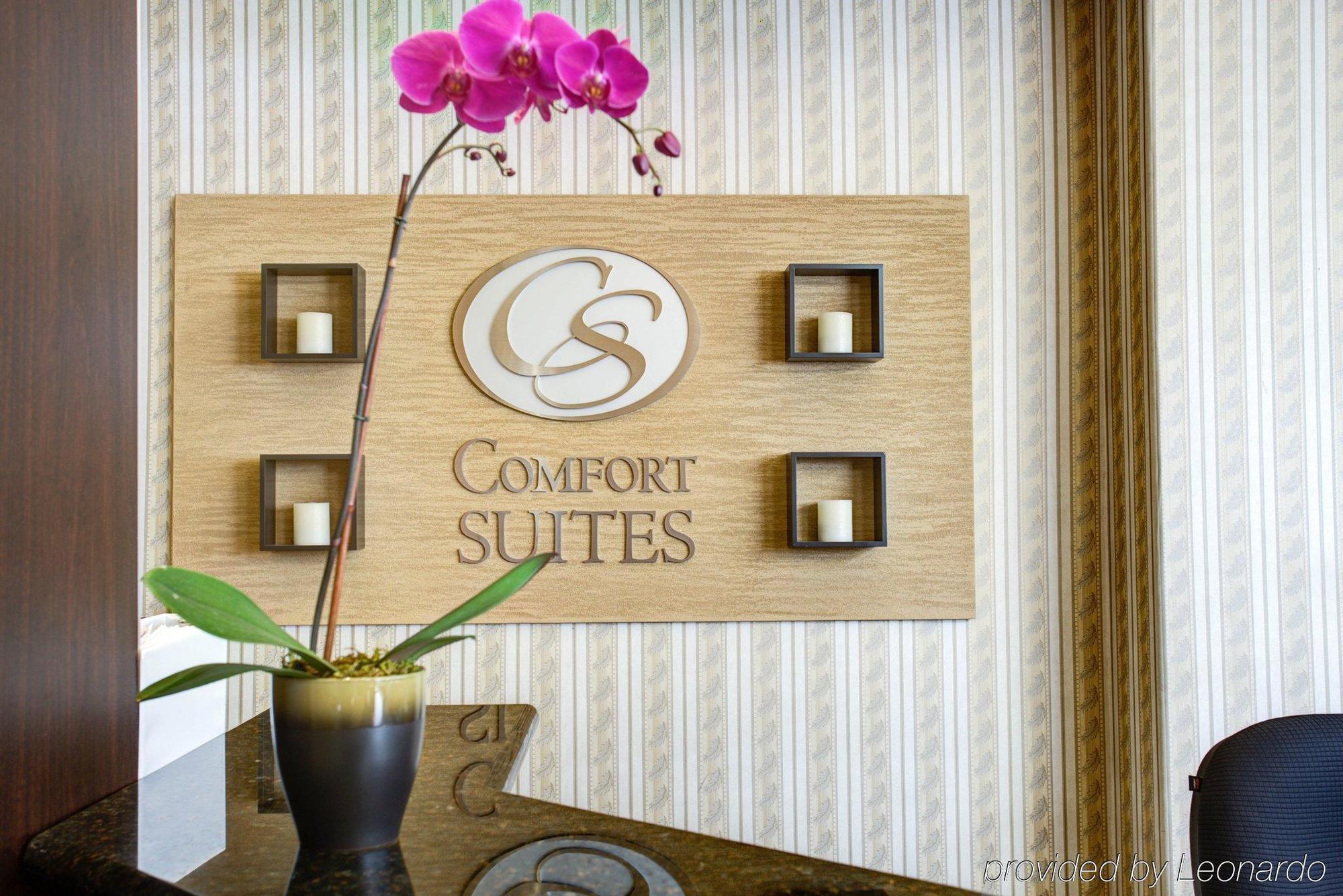 Comfort Suites San Jose Airport Bagian luar foto